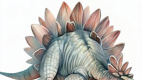 Stegosaurus C'était un dinosaure herbivore qui mesurait environ 9 mètres de long et pesait environ 3 tonnes. Il avait des plaques osseuses sur le dos et des pointes sur la...