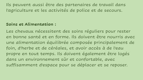 Chevaux-3