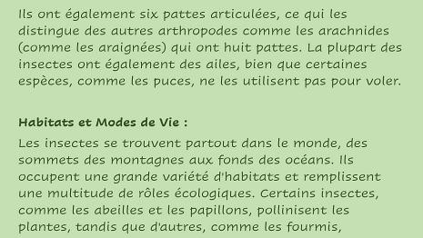 Insectes-2