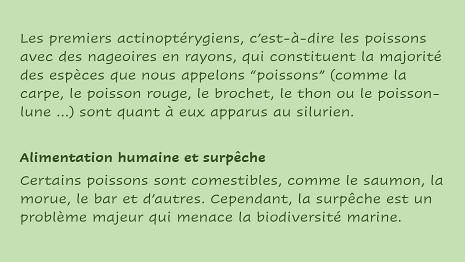 Poissons-3