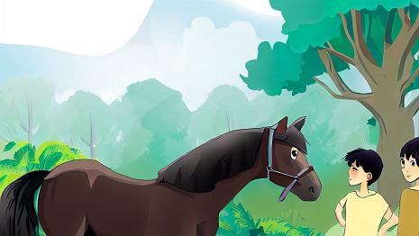Chevaux11