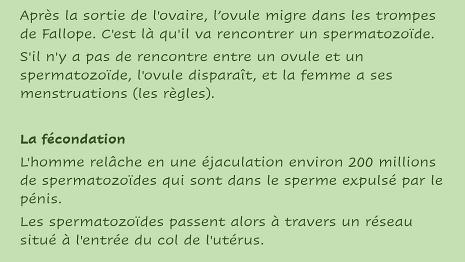 Reproduction_Humaine-5