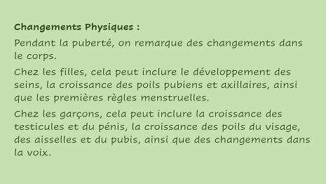 Puberte-2