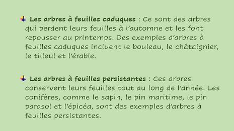 Arbres-2