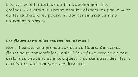 Fleurs-3