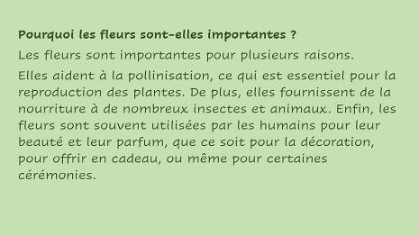 Fleurs-4