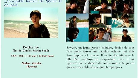 L'incroyable histoire de Winter le dauphin