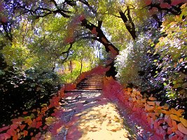 IMG_0035_2aa
