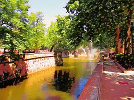 IMG_0196_2fa