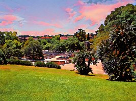 IMG_0229a