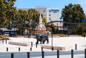 IMG_0074