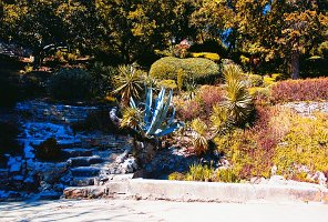 IMG_0112