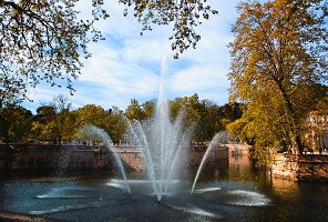 IMG_0132