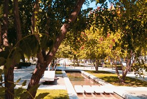 IMG_0180