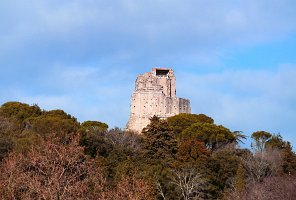 IMG_0205