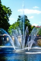 IMG_0202