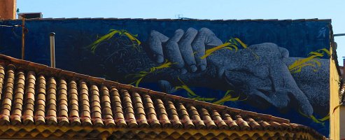 IMG_4310