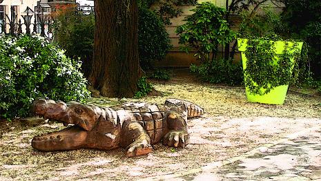 Crocodile