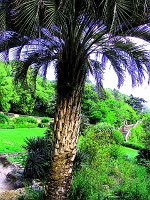 jardins de la fontaine 06