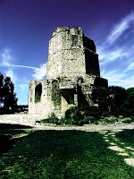 tour magne