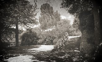 100_1398