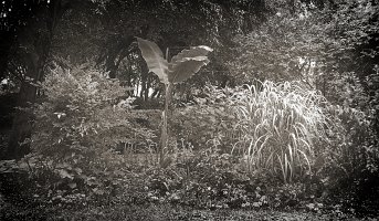 100_1406