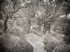 100_1425