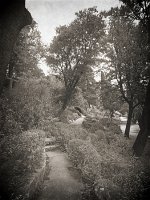 100_1426