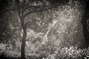 100_1430