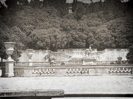 100_1479