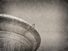 100_1485