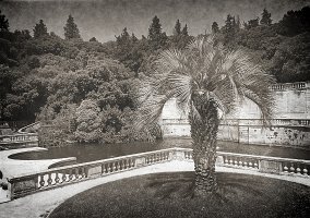 100_1512